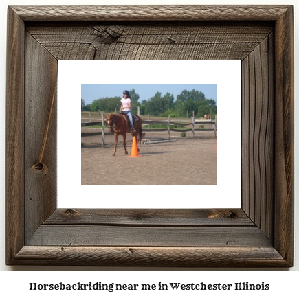 horseback riding near me in Westchester, Illinois